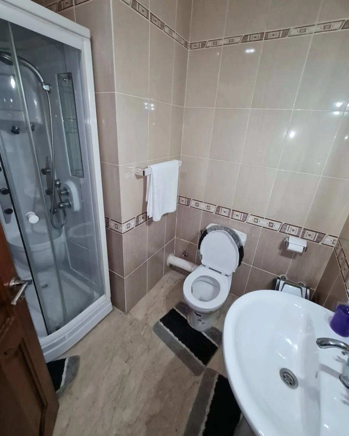 Salle de bains avec cabine de douche, lavabo et WC